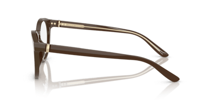 Brown - 0AR7266U 8056262223215