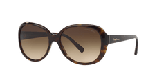 0AR8047 - Giorgio Armani - (Havana) Brown Gradient - 56 - 16 - 140 MM - Ardor Eyewear 8053672372731