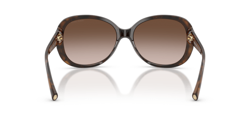 0AR8047 - Giorgio Armani - (Top Black Havana) Brown Gradient - 56 - 16 - 140 MM - Ardor Eyewear 8053672372748