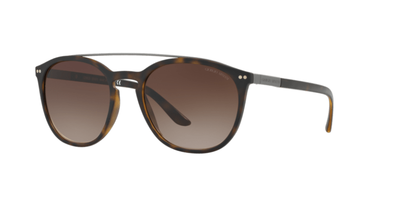 Matte Dark Havana - 0AR8088 8053672647174