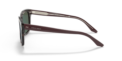 Striped Dark Brown - 0AR8138 8056597335454