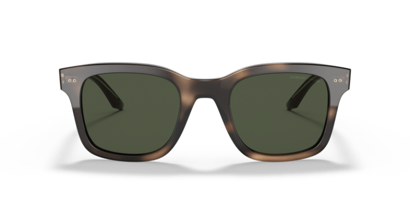 Striped Dark Brown - 0AR8138 8056597335454