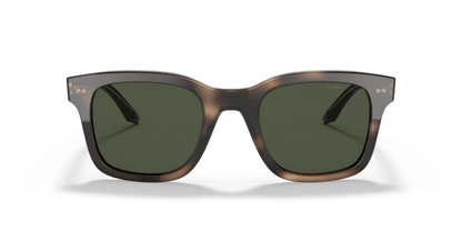 Striped Dark Brown - 0AR8138 8056597335454