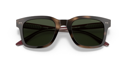 Striped Dark Brown - 0AR8138 8056597335454