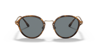 Brown Tortoise - 0AR8139 8056597335089