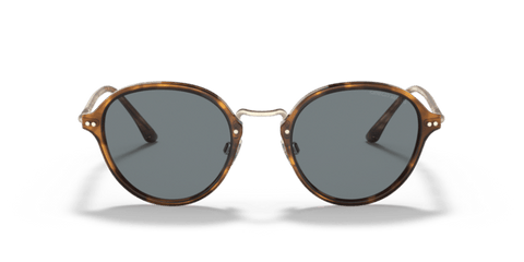 Brown Tortoise - 0AR8139 8056597335089