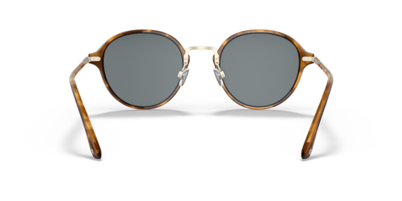 Brown Tortoise - 0AR8139 8056597335089