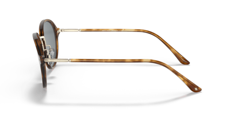 Brown Tortoise - 0AR8139 8056597335089