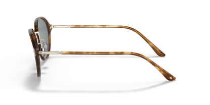 Brown Tortoise - 0AR8139 8056597335089