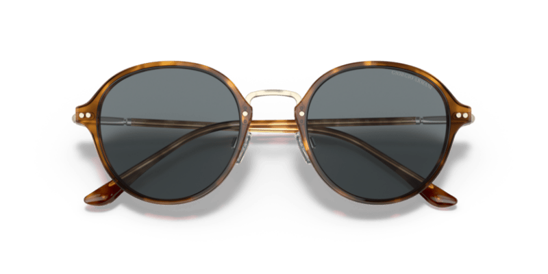 Brown Tortoise - 0AR8139 8056597335089