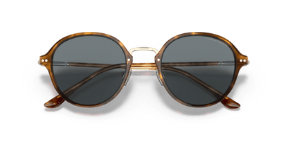 Brown Tortoise - 0AR8139 8056597335089