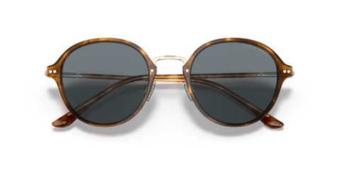 Brown Tortoise - 0AR8139 8056597335089