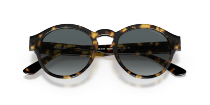 Yellow Havana - 0AR8146 8056597415507