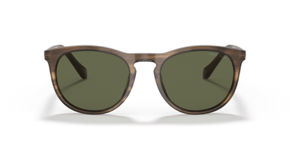 Striped Brown - 0AR8149 8056597543002