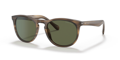 Striped Brown - 0AR8149 8056597543002