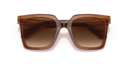 Transparent Brown - 0AR8156 8056597628150