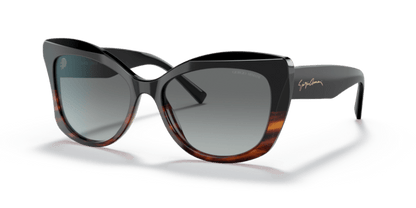 Black/Striped Brown - 0AR8161 8056597628372