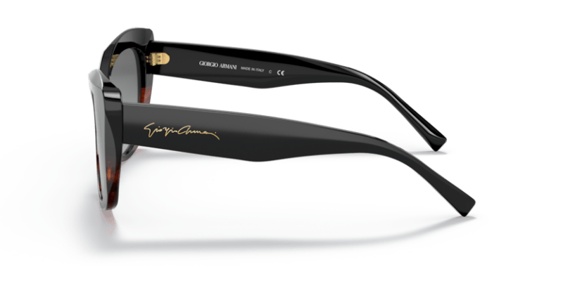 Black/Striped Brown - 0AR8161 8056597628372