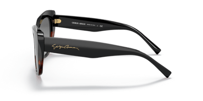 Black/Striped Brown - 0AR8161 8056597628372