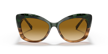 Green Havana/Striped Brown - 0AR8161 8056597628396