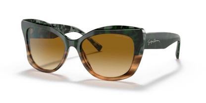 Green Havana/Striped Brown - 0AR8161 8056597628396