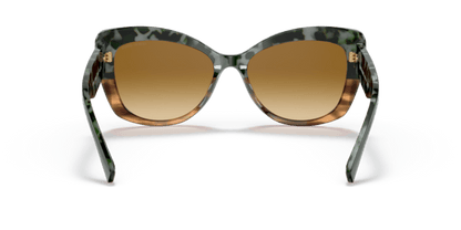 Green Havana/Striped Brown - 0AR8161 8056597628396