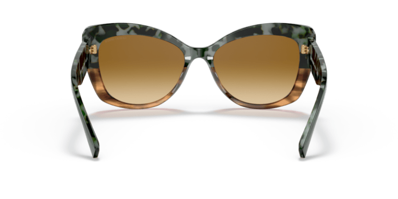 Green Havana/Striped Brown - 0AR8161 8056597628396