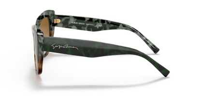 Green Havana/Striped Brown - 0AR8161 8056597628396