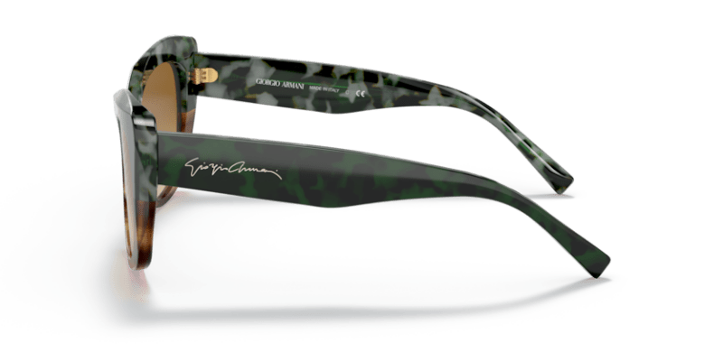 Green Havana/Striped Brown - 0AR8161 8056597628396