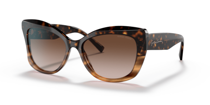 Havana/Striped Brown - 0AR8161 8056597628389