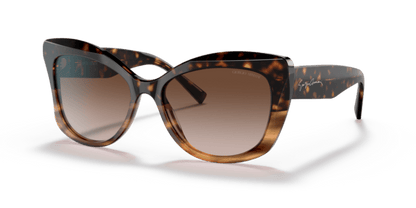 Havana/Striped Brown - 0AR8161 8056597628389