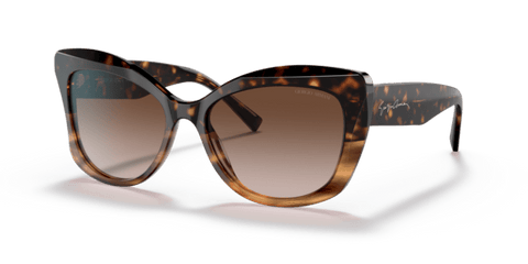 Havana/Striped Brown - 0AR8161 8056597628389