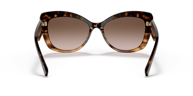 Havana/Striped Brown - 0AR8161 8056597628389