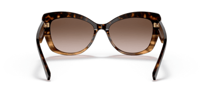 Havana/Striped Brown - 0AR8161 8056597628389