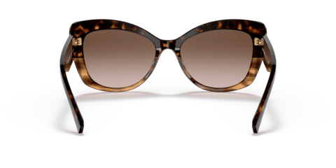 Havana/Striped Brown - 0AR8161 8056597628389
