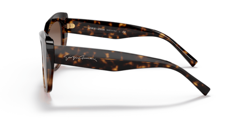 Havana/Striped Brown - 0AR8161 8056597628389