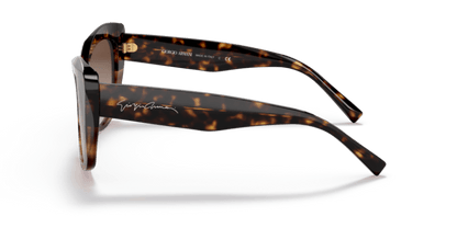 Havana/Striped Brown - 0AR8161 8056597628389