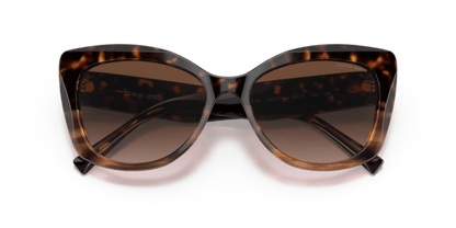 Havana/Striped Brown - 0AR8161 8056597628389