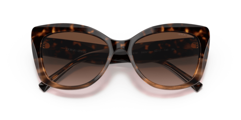 Havana/Striped Brown - 0AR8161 8056597628389