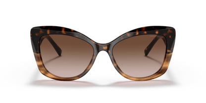 Havana/Striped Brown - 0AR8161 8056597628389