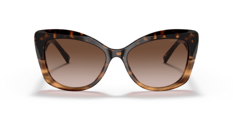 Havana/Striped Brown - 0AR8161 8056597628389