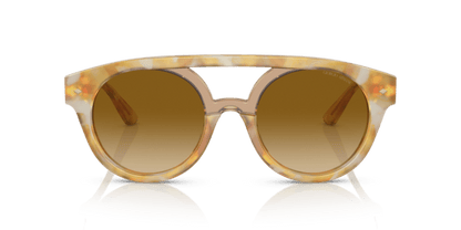 Giorgio Armani 0AR8163 Yellow Tortoise/Brown 8056597641869