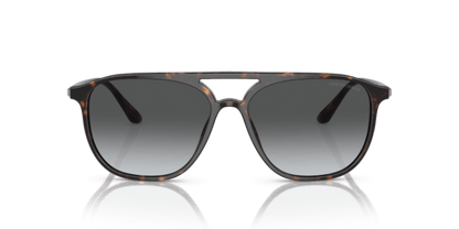 Havana - 0AR8179 8056597830546