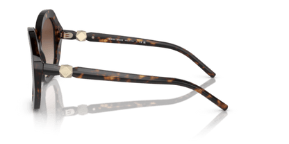 Havana - 0AR8180 8056597834650