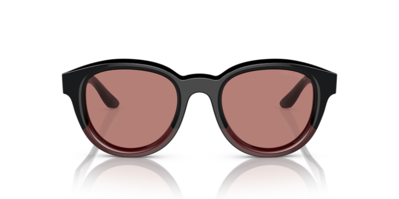 Gradient Black/Bordeaux - 0AR8181 8056597832649