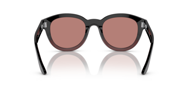 Gradient Black/Bordeaux - 0AR8181 8056597832649