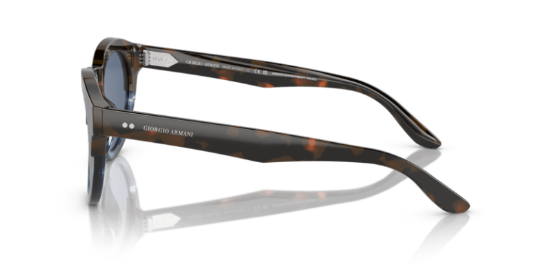 Red Havana/Striped Blue - 0AR8189U 8056597834728