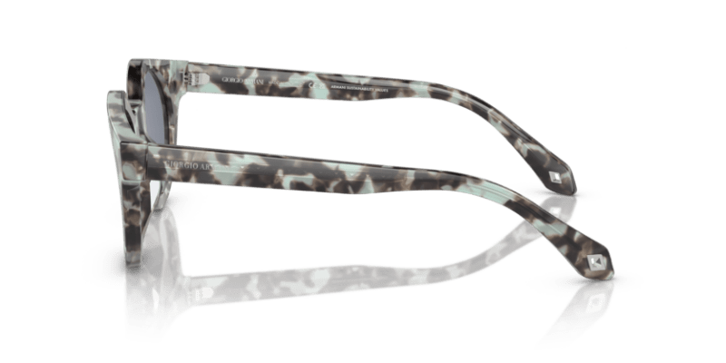 Grey Havana - 0AR8191U 8056597844925