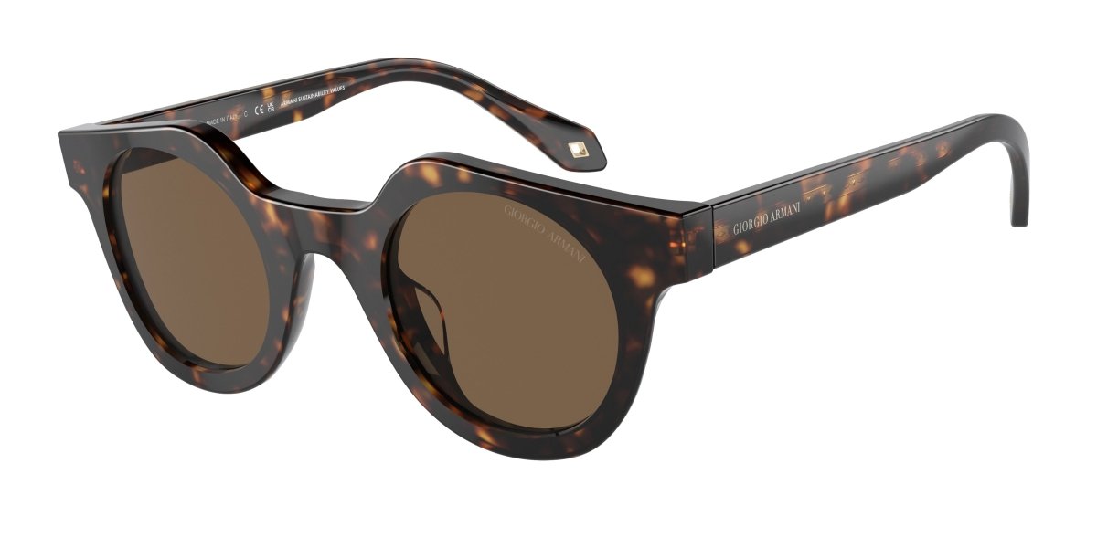 0AR8191U - Giorgio Armani - (Havana) Dark Brown - 45 - 25 - 145 MM - Ardor Eyewear 8056597844901