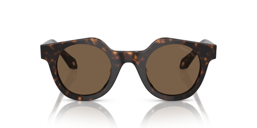 0AR8191U - Giorgio Armani - (Havana) Dark Brown - 45 - 25 - 145 MM - Ardor Eyewear 8056597844901